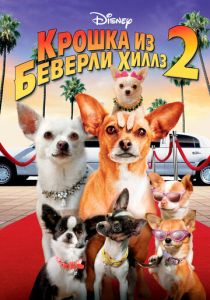 Крошка из Беверли-Хиллз 2 (2011) онлайн